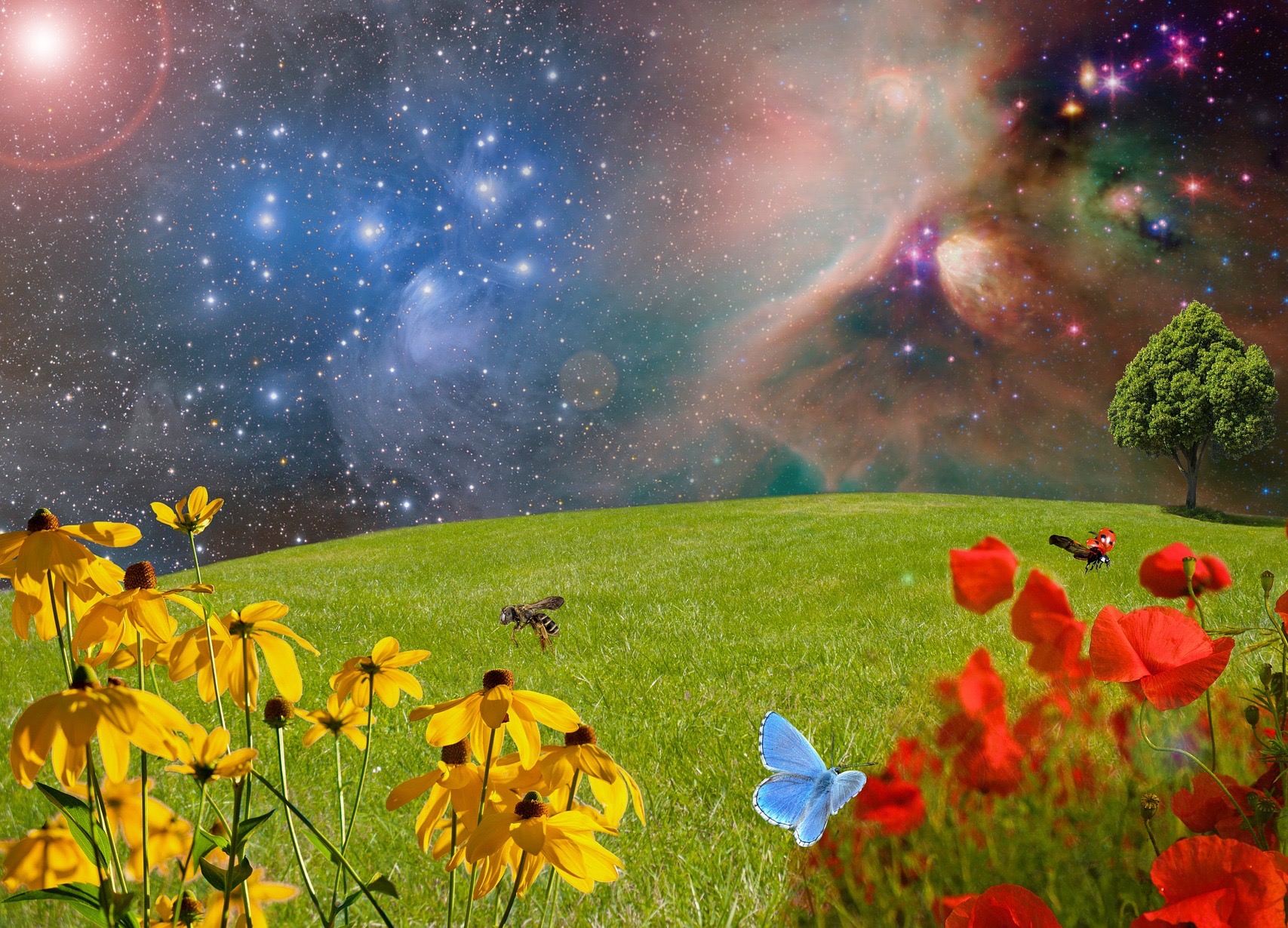 學會薩滿旅程有什麼好處？