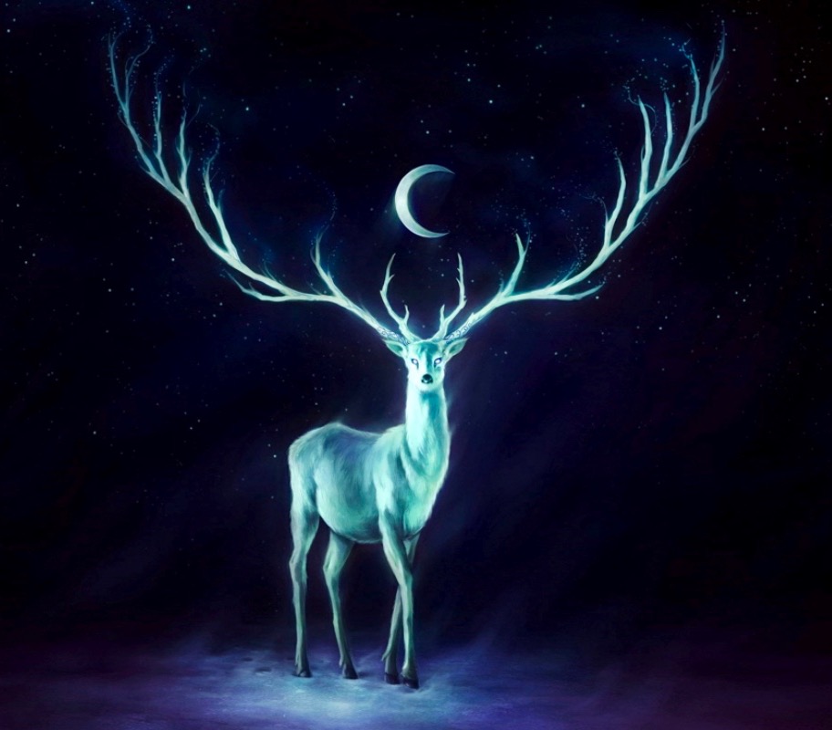 薩滿療癒後有什麼狀況出現？